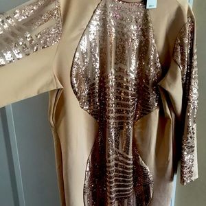 Gold Sequin front dress.